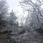 公寓 Marlea *